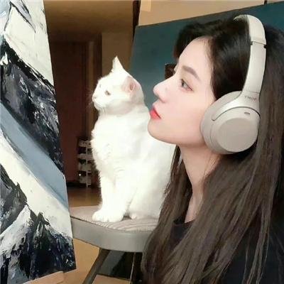 真事信不信